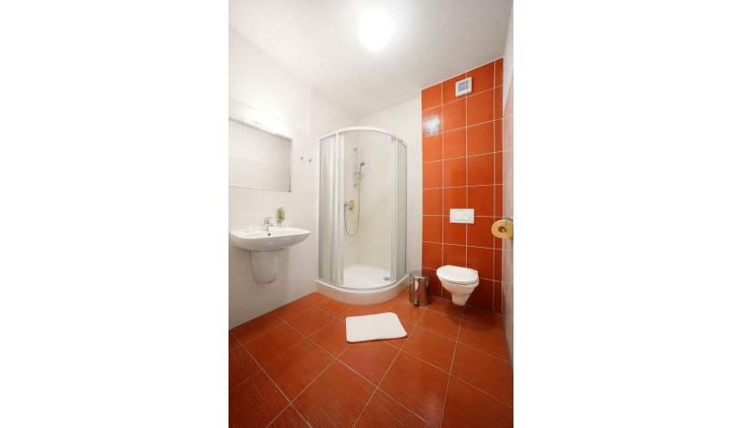 Hotel Záviš z Falkenštejna Hluboká nad Vltavou